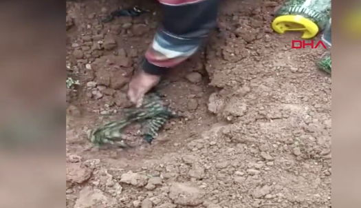 Foto - Bahçeye gömülü turşu bidonundan çıkanlar şok etti! Plastik kaplara doldurup gömmüşler! Yok artık daha neler