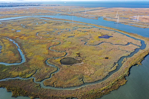 Foto - Bair Adaları havadan görüntülendi