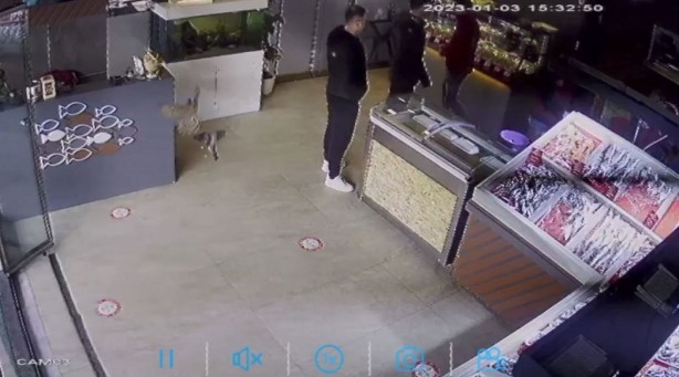 Foto - Bak sen atmacanın yaptığına! Balıkçıyı birbirine kattı