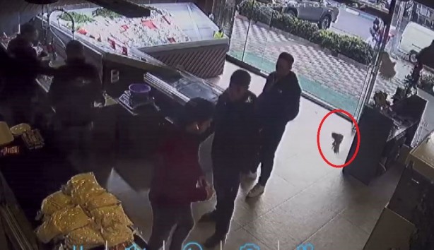 Foto - Bak sen atmacanın yaptığına! Balıkçıyı birbirine kattı