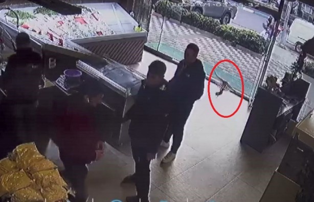 Foto - Bak sen atmacanın yaptığına! Balıkçıyı birbirine kattı