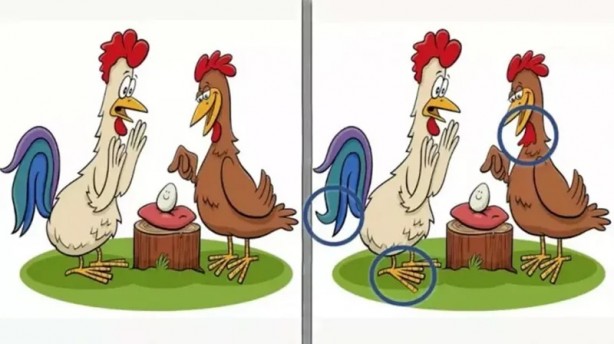 Foto - Bakalım 10 saniyede bulabilecek misiniz? İşte eğlenceli testler