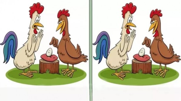 Foto - Bakalım 10 saniyede bulabilecek misiniz? İşte eğlenceli testler