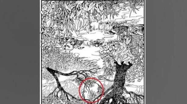 Foto - Bakalım 10 saniyede bulabilecek misiniz? İşte eğlenceli testler