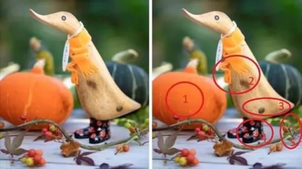 Foto - Bakalım 10 saniyede bulabilecek misiniz? İşte eğlenceli testler