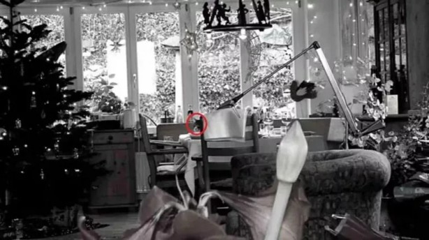 Foto - Bakalım 10 saniyede bulabilecek misiniz? İşte eğlenceli testler