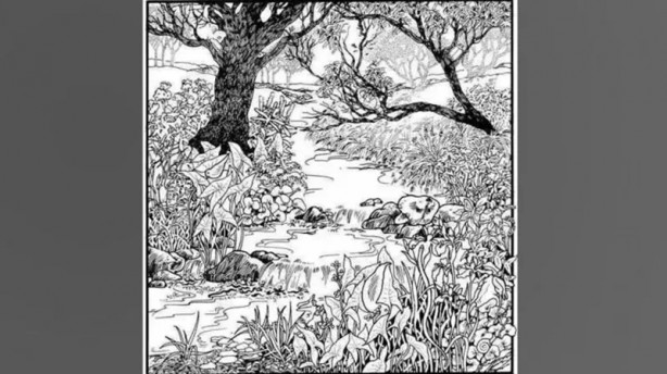 Foto - Bakalım 10 saniyede bulabilecek misiniz? İşte eğlenceli testler