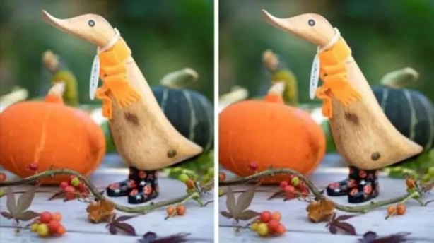 Foto - Bakalım 10 saniyede bulabilecek misiniz? İşte eğlenceli testler