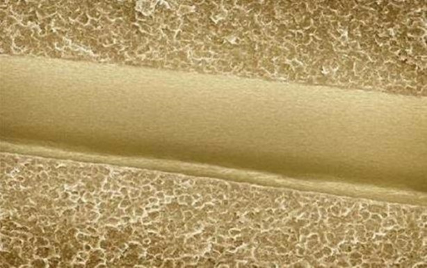 Foto - Bakalım yiyecekleri mikroskobik görüntülerinden tanıyabilecek misiniz?