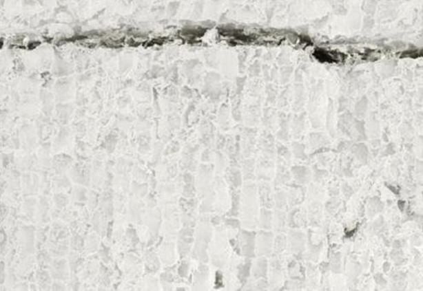 Foto - Bakalım yiyecekleri mikroskobik görüntülerinden tanıyabilecek misiniz?