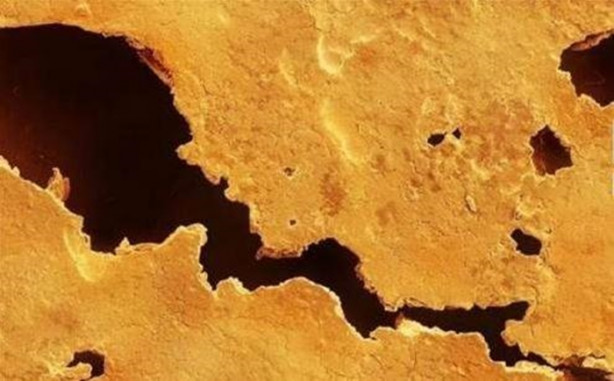 Foto - Bakalım yiyecekleri mikroskobik görüntülerinden tanıyabilecek misiniz?