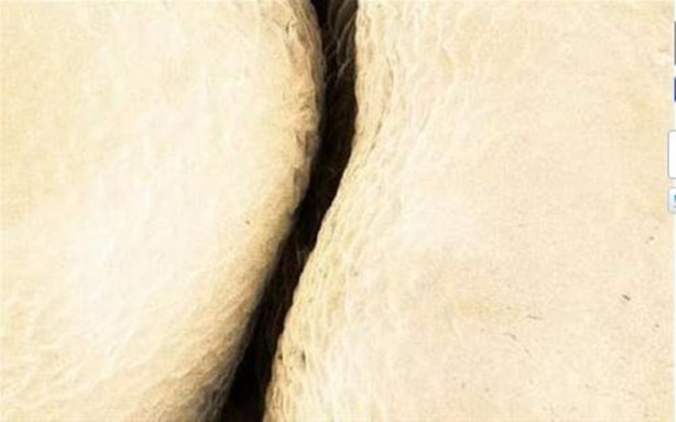 Foto - Bakalım yiyecekleri mikroskobik görüntülerinden tanıyabilecek misiniz?