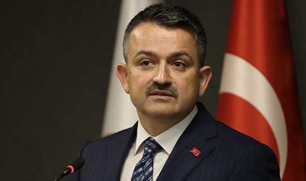 Foto - Bakan Bekir Pakdemirli'den Tuz Gölü'nde ölen flamingolarla ilgili açıklama