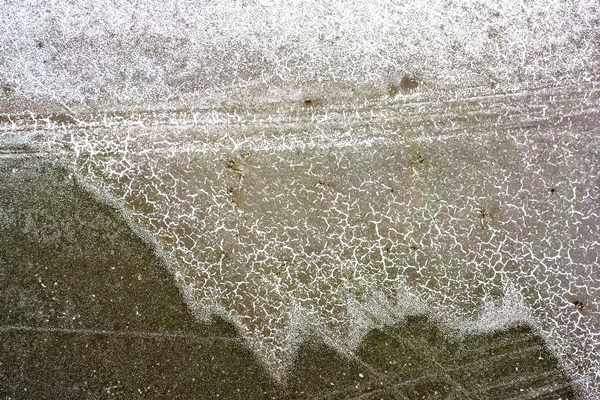 Foto - Bakan Bekir Pakdemirli'den Tuz Gölü'nde ölen flamingolarla ilgili açıklama