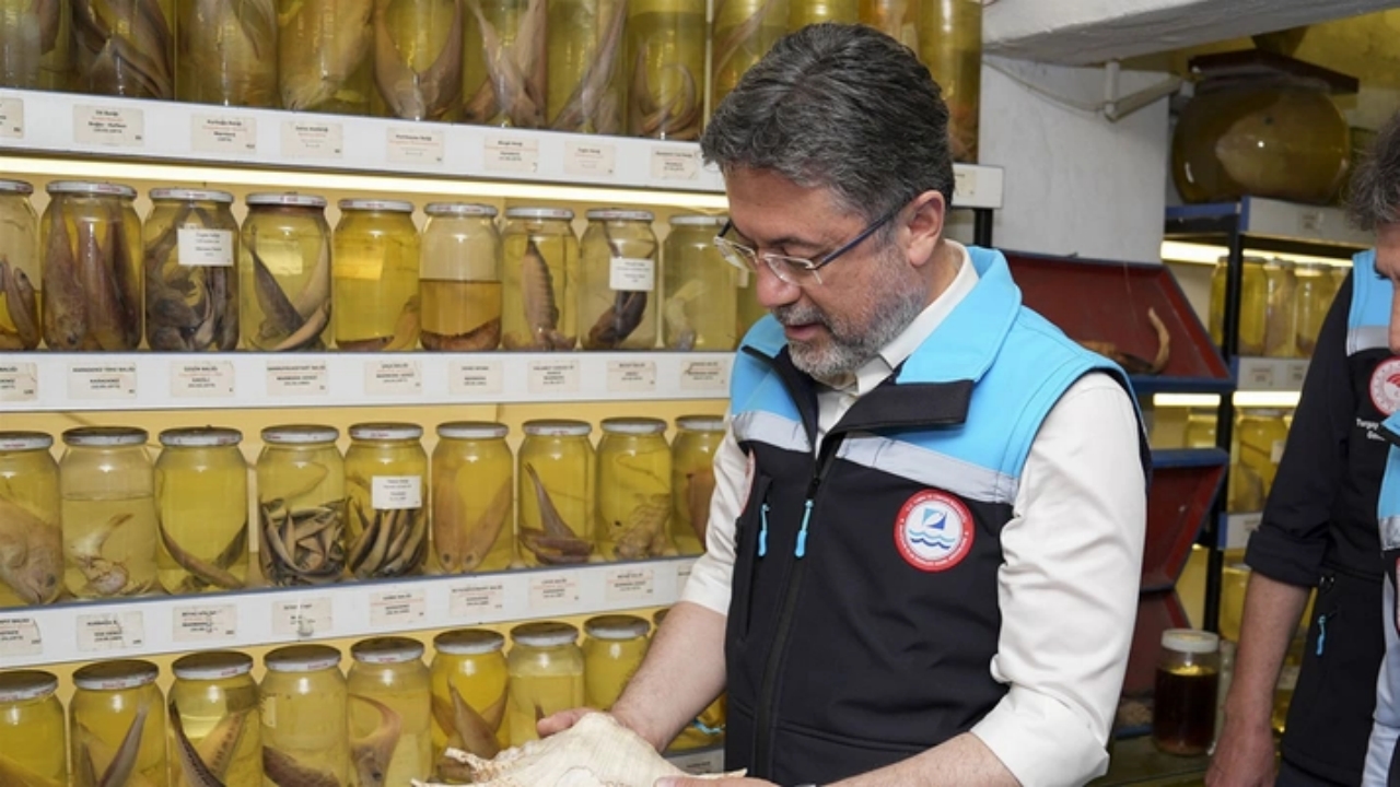 Foto - Bakan Bey, "Buradan da bir müjde verelim" diyerek duyurdu! O para, hesaplara yatıyor