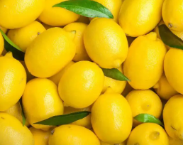 Foto - Bakan Bolat açıkladı: O ülkenin vatandaşları Türkiye'den giderse ne tarım ne de hayvancılık kalır