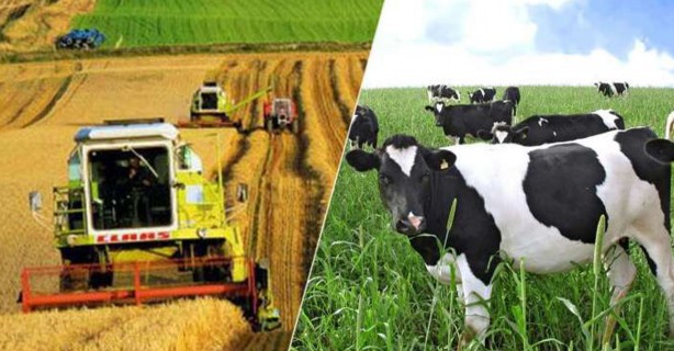 Foto - Bakan Bolat açıkladı: O ülkenin vatandaşları Türkiye'den giderse ne tarım ne de hayvancılık kalır