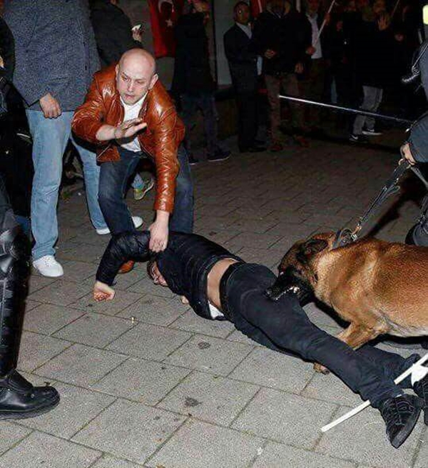 Bakan Çavuşoğlu Hollanda'daki şok görüntüleri paylaştı!