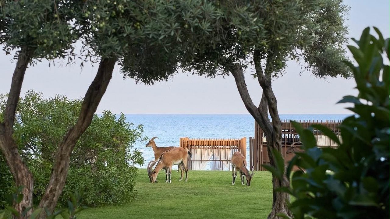 Foto - Bakan Ersoy müjdeyi verdi: 40'tan fazla etkinliğin açılışını yaptı 