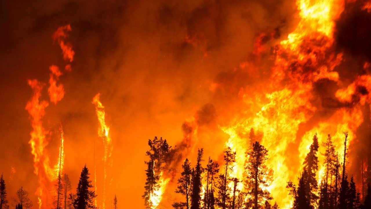 Foto - Bakan İbrahim Yumaklı'dan Türkiye'ye çok kritik uyarı: Lütfen yapmayın
