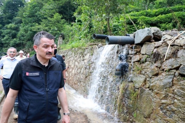 Foto - Bakan Pakdemirli duyurdu! Çaylıkların arasında yetiştirilecek