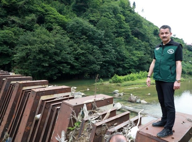 Foto - Bakan Pakdemirli duyurdu! Çaylıkların arasında yetiştirilecek