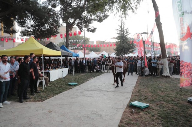 Foto - Bakan Soylu'ya sevgi seli! Sürpriz hediye 