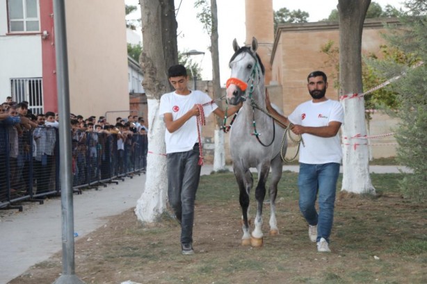 Foto - Bakan Soylu'ya sevgi seli! Sürpriz hediye 