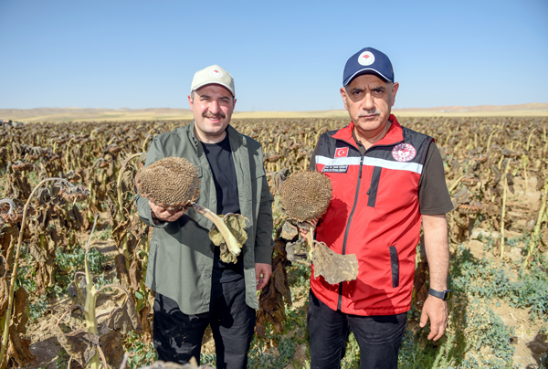 Bakan Varank: İlk kez yerli ve milli olarak ürettik