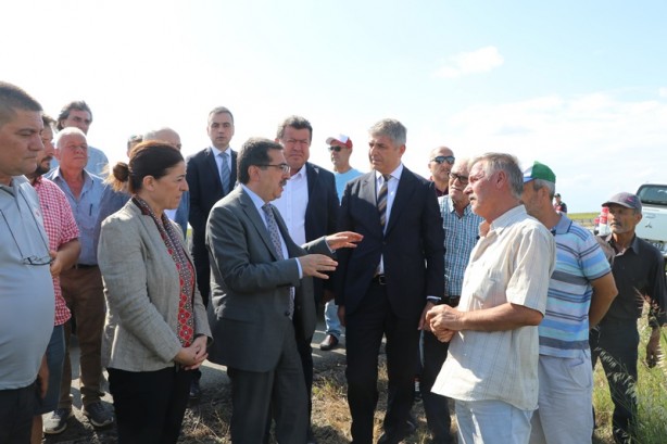 Foto - Bakan Yardımcısı, ayçiçeği tarlalarında incelemede bulundu! 'Çayır tırtılı' açıklaması