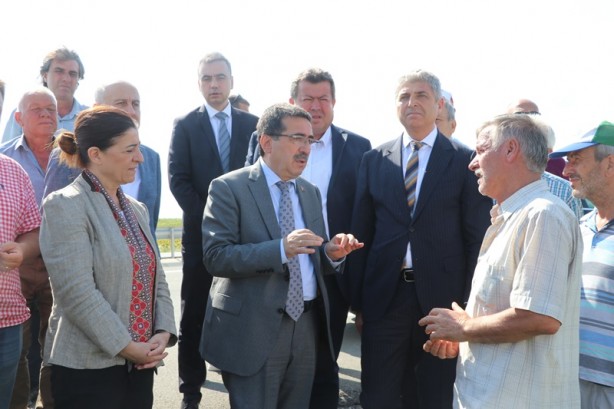 Foto - Bakan Yardımcısı, ayçiçeği tarlalarında incelemede bulundu! 'Çayır tırtılı' açıklaması