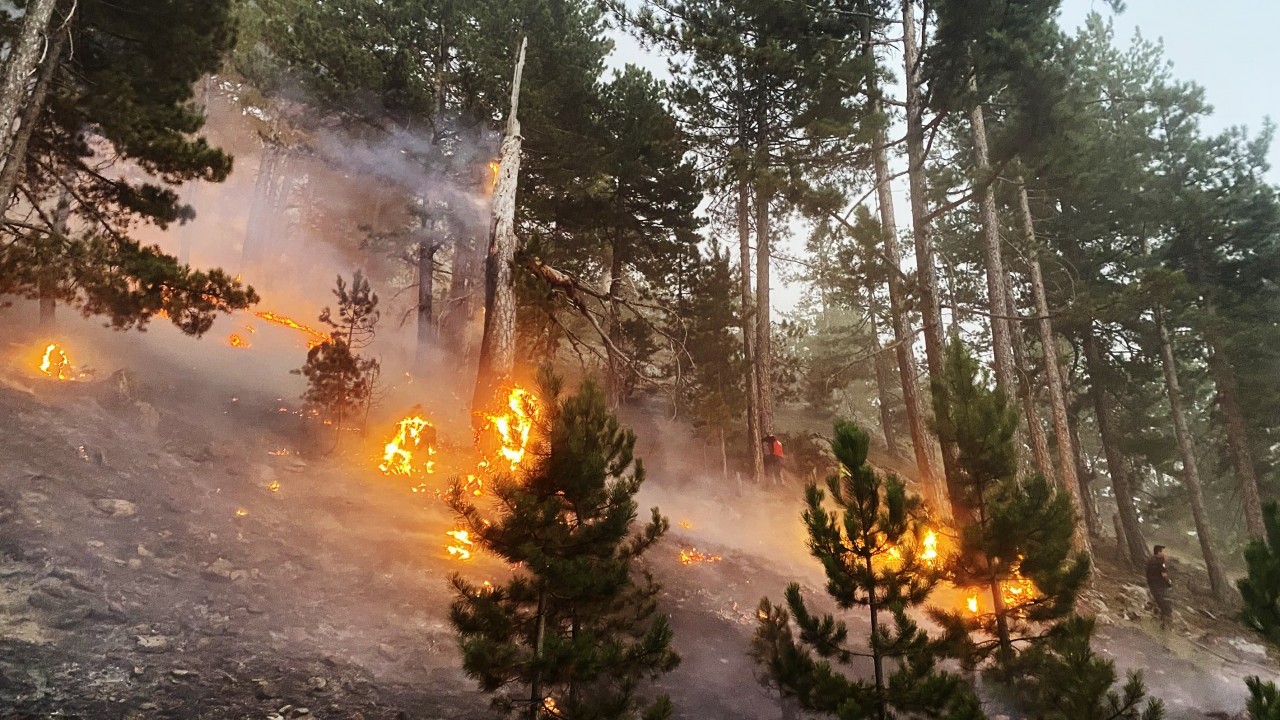 Foto - Bakan Yumaklı: 6 ilimizdeki 7 yangın kontrol altında