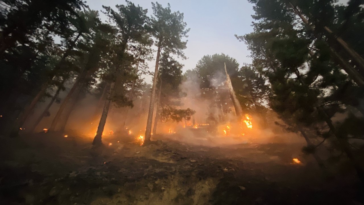 Foto - Bakan Yumaklı: 6 ilimizdeki 7 yangın kontrol altında