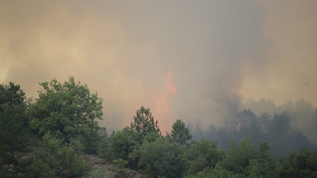 Bakan Yumaklı: 6 ilimizdeki 7 yangın kontrol altında