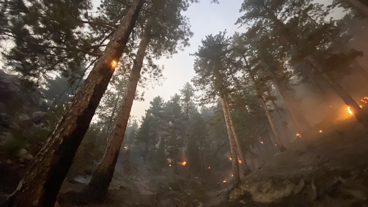 Foto - Bakan Yumaklı: 6 ilimizdeki 7 yangın kontrol altında