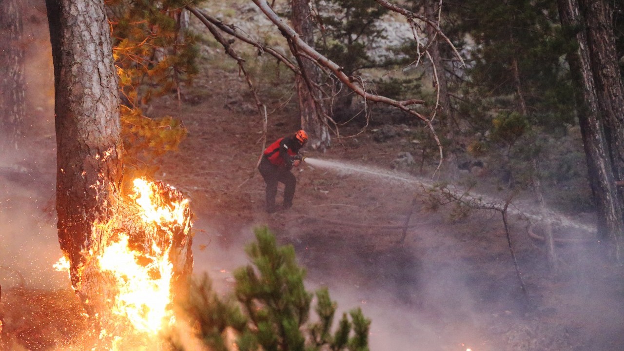 Foto - Bakan Yumaklı: 6 ilimizdeki 7 yangın kontrol altında
