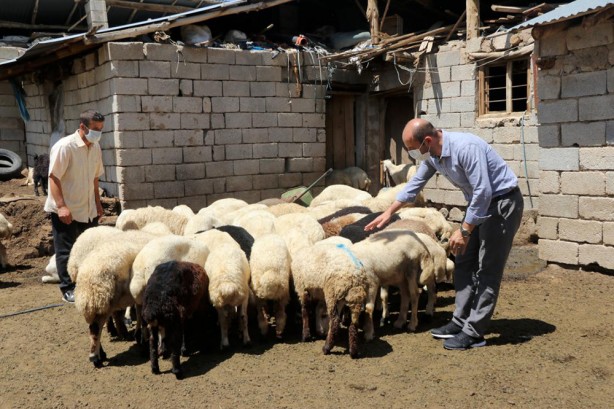 Foto - Bakan Yumaklı açıkladı! 1 Ocak'tan itibaren geçerli olacak! Hayvancılık desteklerinde müthiş artış!