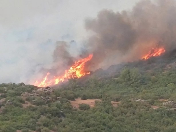 Foto - Bakan Yumaklı açıkladı: İzmir Yamanlar, Urla ve Bolu'daki yangınlar kontrol altında! İşte illerdeki son durum