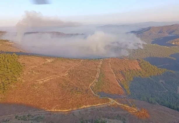 Foto - Bakan Yumaklı açıkladı: İzmir Yamanlar, Urla ve Bolu'daki yangınlar kontrol altında! İşte illerdeki son durum