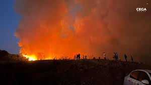 Foto - Bakan Yumaklı: "İzmir’deki yangın piknik ateşinden çıktı"