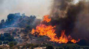 Foto - Bakan Yumaklı: "İzmir’deki yangın piknik ateşinden çıktı"
