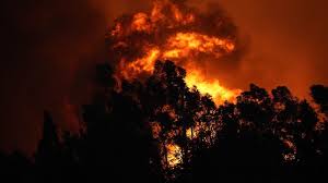 Foto - Bakan Yumaklı: "İzmir’deki yangın piknik ateşinden çıktı"