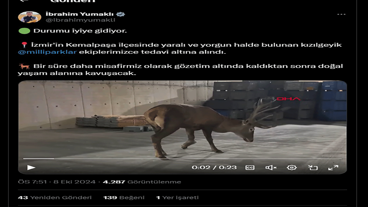 Foto - Bakan Yumaklı Kızılgeyik ile ilgili açıklamada bulundu!