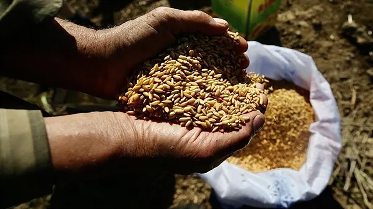 Foto - Bakan Yumaklı'dan müjde! Ata tohumu satışı başlıyor!