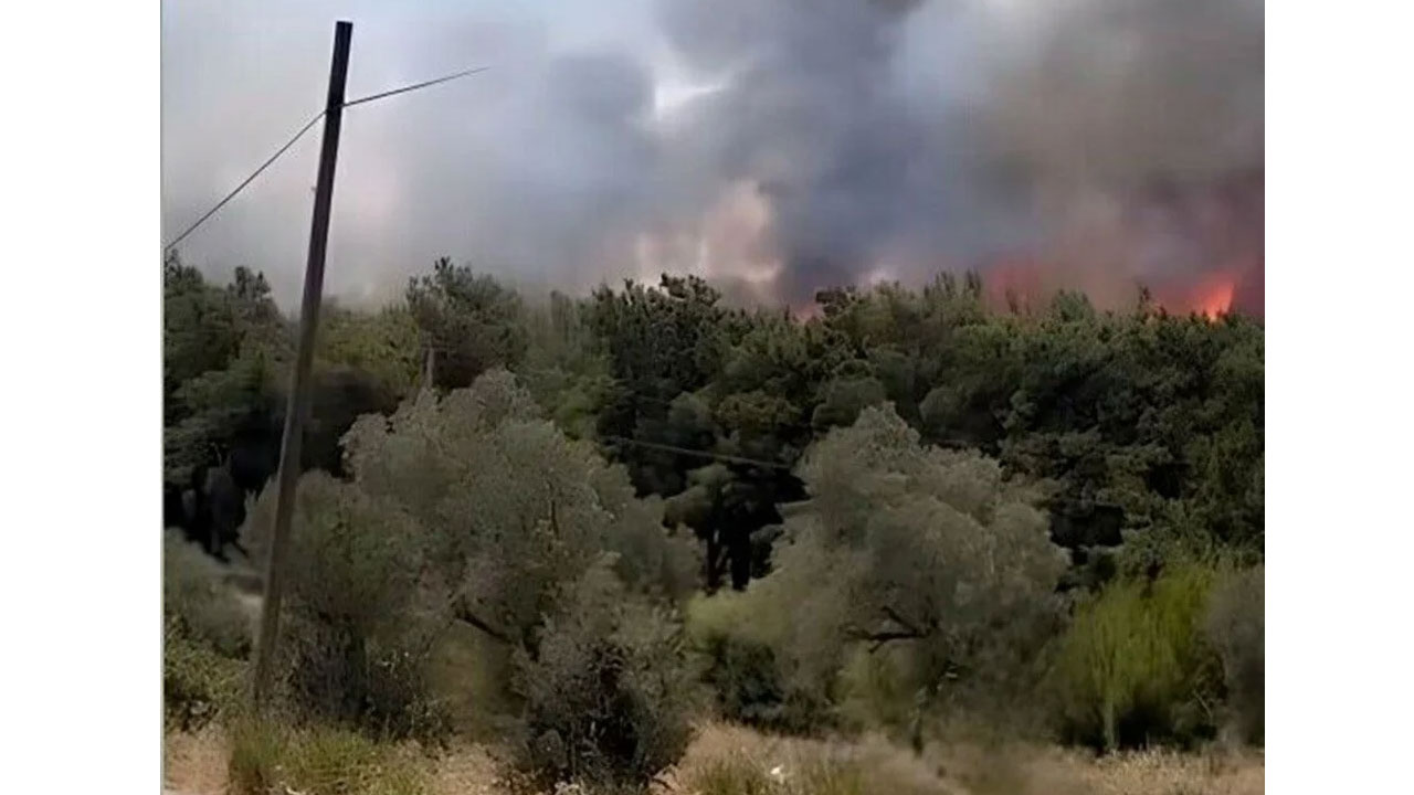 Bakan Yumaklı’nın uyarısının ardından İzmir’de iki orman yangını daha!