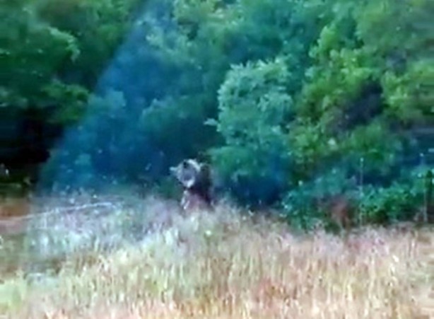 Foto - Bakanlığa bağlı kamu kurumundan paylaşılan o görüntü heyecan uyandırdı! 'Olağanüstü an' notu düşüldü