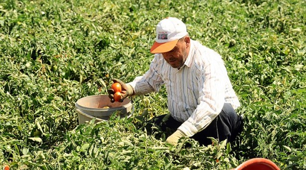 Foto - Bakanlık destek ödemesi almak isteyenleri uyardı! Son gün 31 Aralık