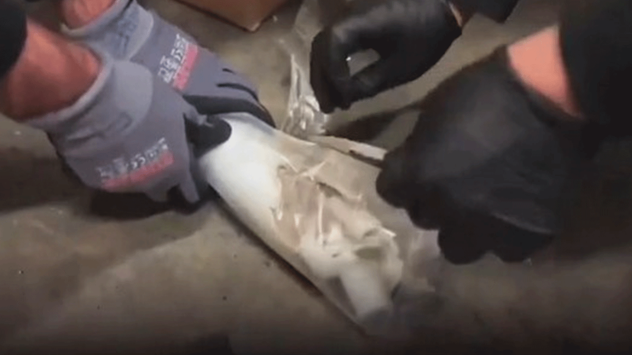 Foto - Bakanlık düğmeye bastı: Tam 1 milyar lira değerinde!