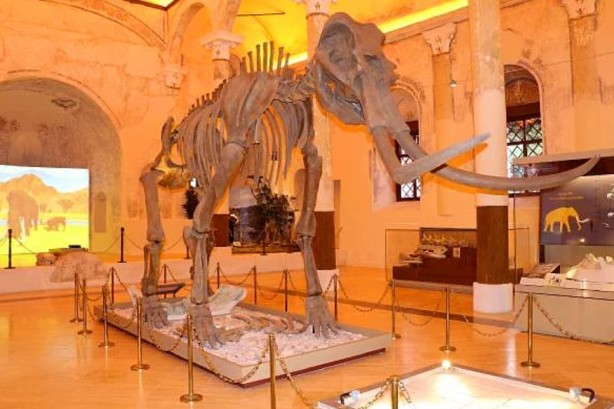 Foto - Bakanlık duyurdu! 18 yaş altı ve 65 yaş üstü için ücretsiz!