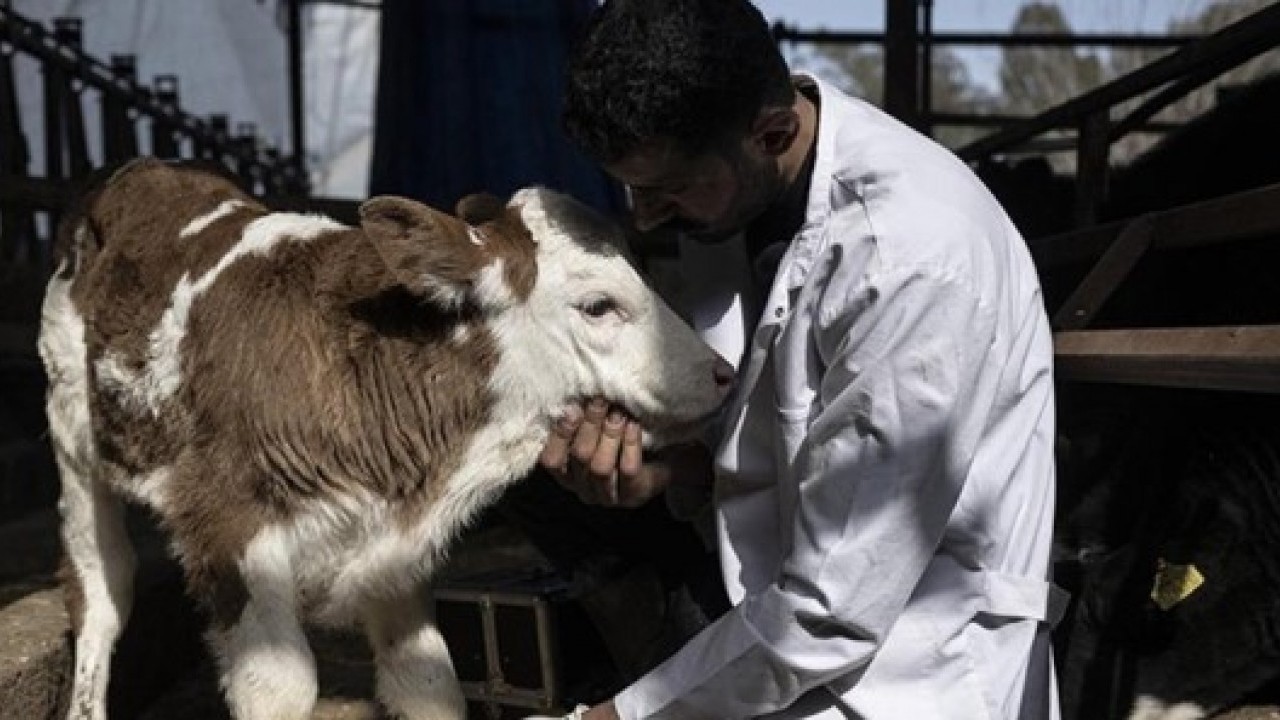 Foto - Bakanlık duyurdu: 24 ilde yeniden açıldı!